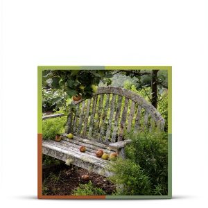Gardening Design Book Timber Press Kindle Edition-0