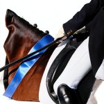 The Dressage Chronicles Book 1 Equestrian Sports Kindle-0