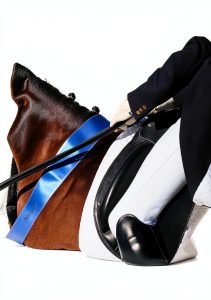 The Dressage Chronicles Book 1 Equestrian Sports Kindle-0