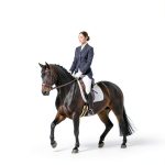 Dressage Maverick Series Equestrian Basics English Kindle-0