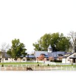 Live Oak Press Horse Racing Book Kindle Edition Biography-0