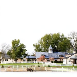 Live Oak Press Horse Racing Book Kindle Edition Biography-0